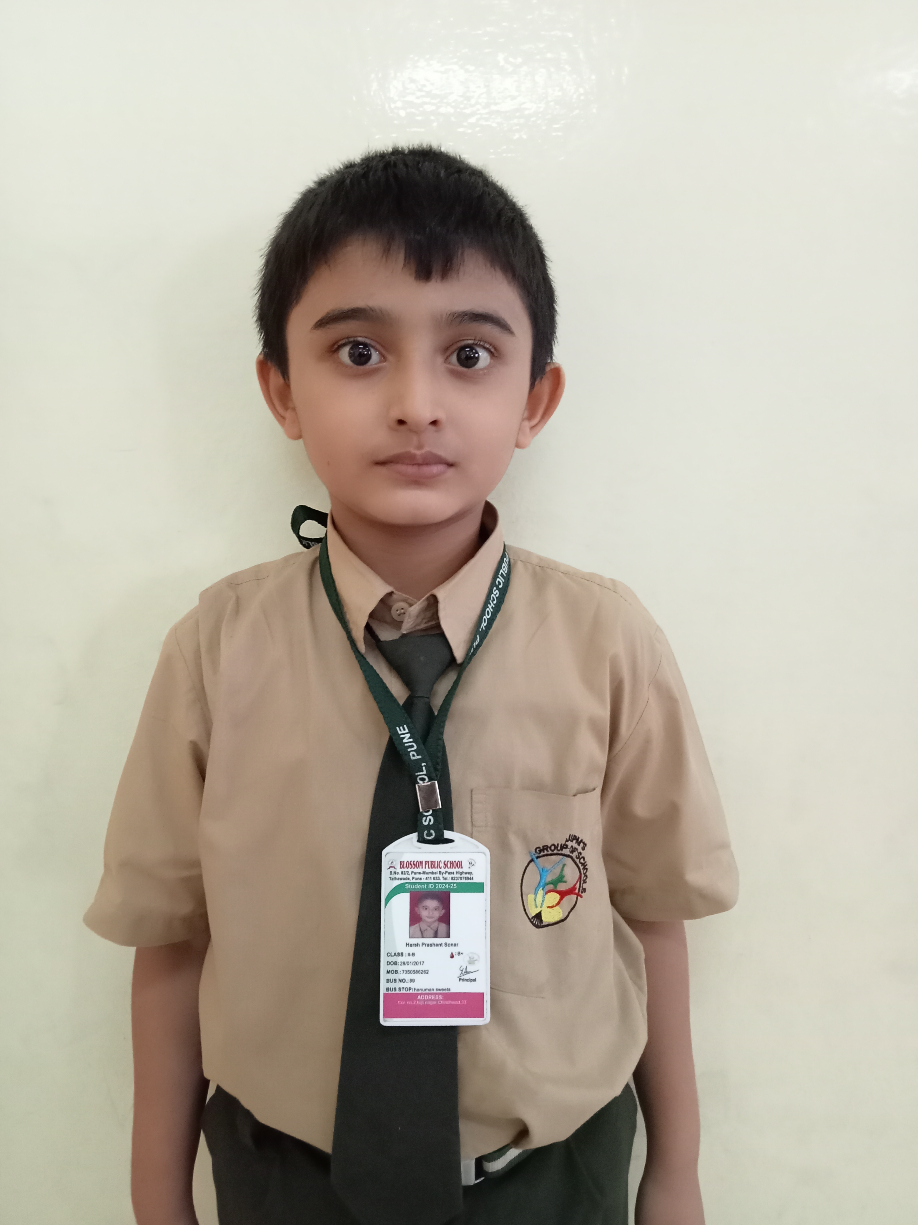 D Y Patil International School, Worli