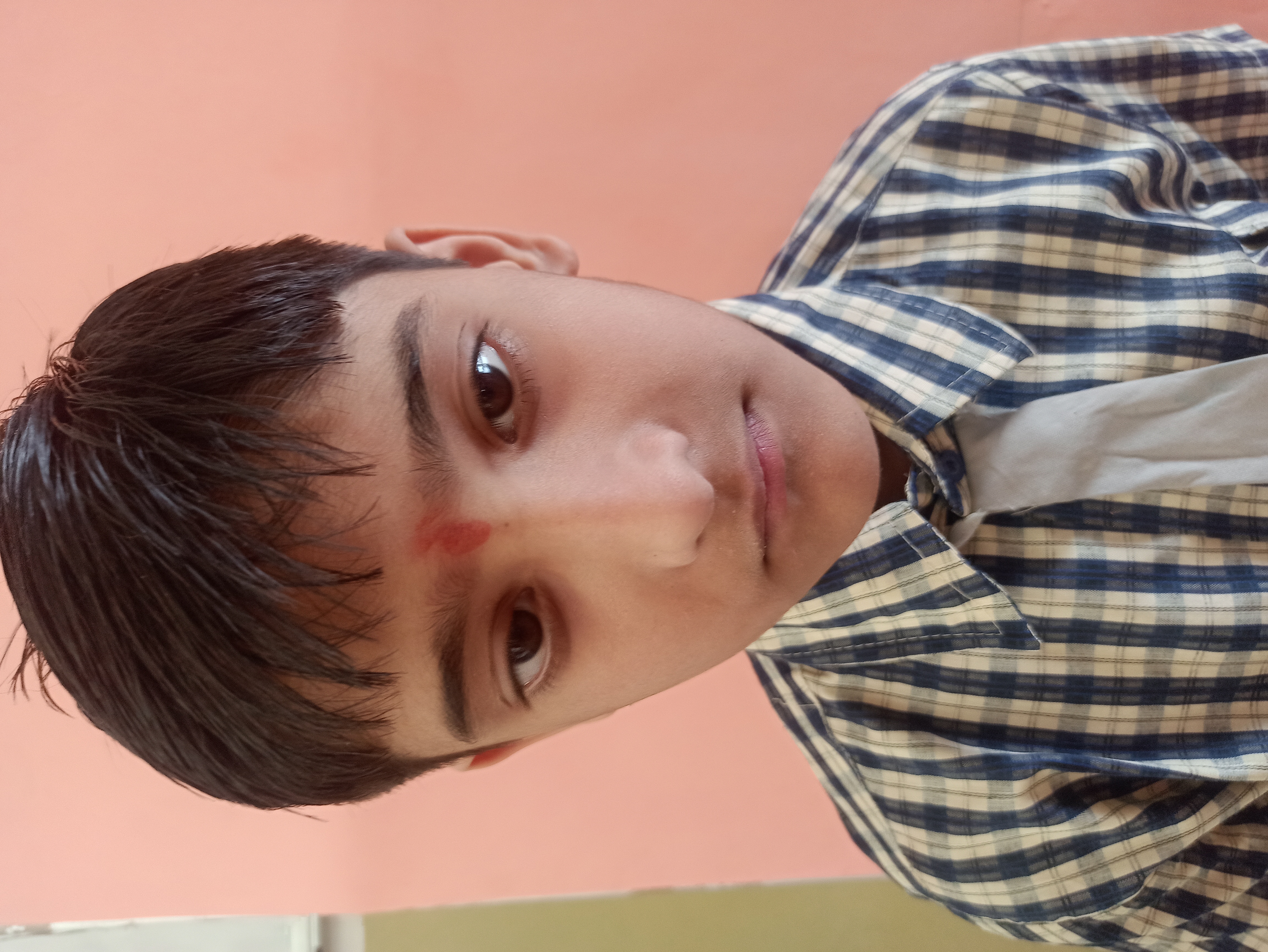 Kanha Makhan Public School, Mathura