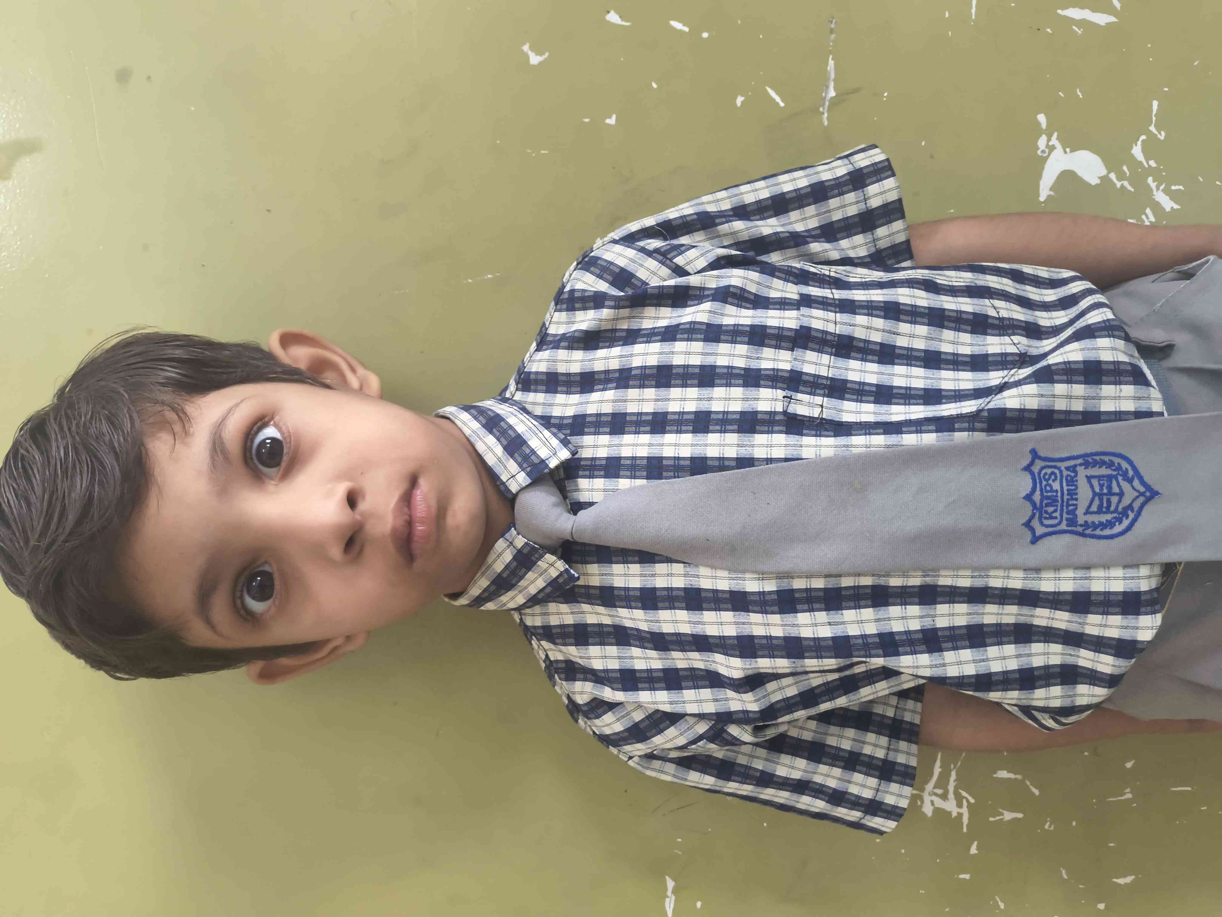 Kanha Makhan Public School, Mathura