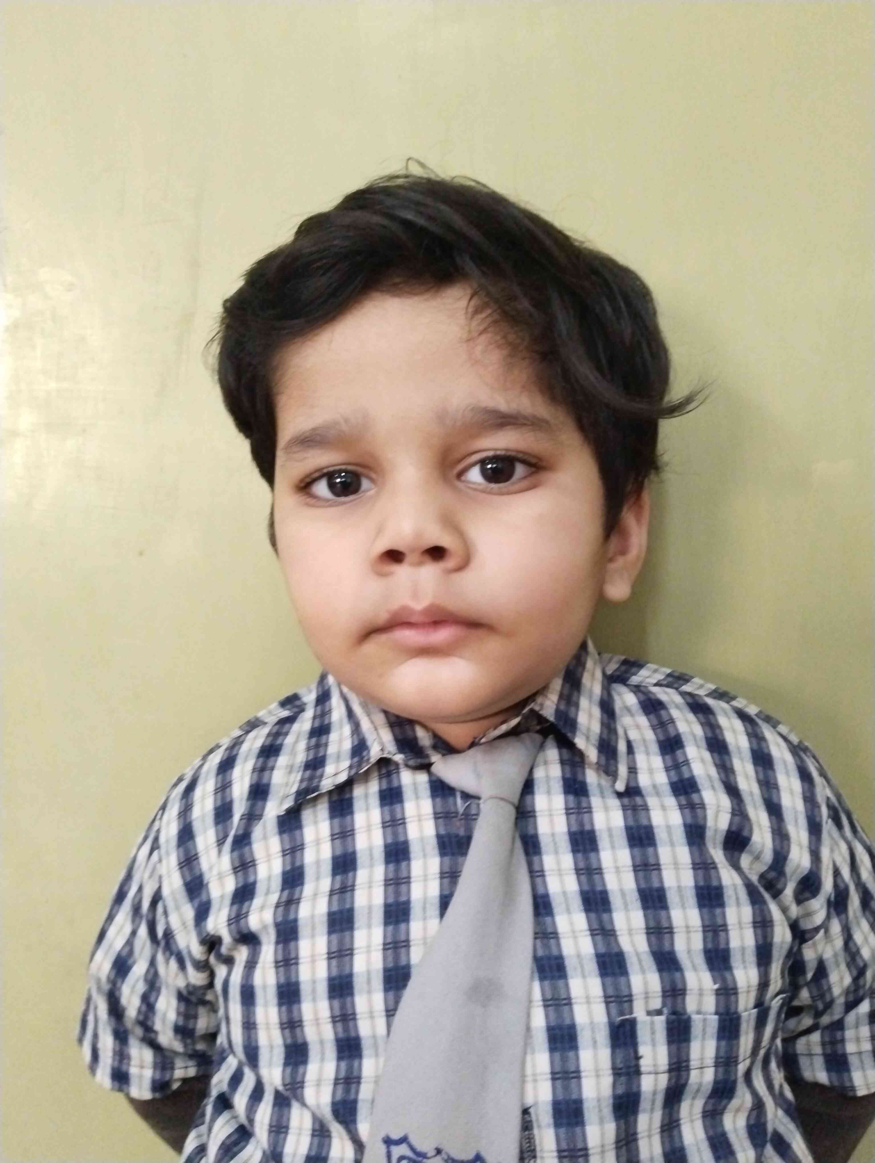 Kanha Makhan Public School, Mathura