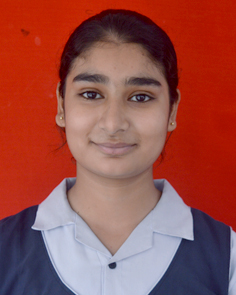 Delhi Public School Rudrapur