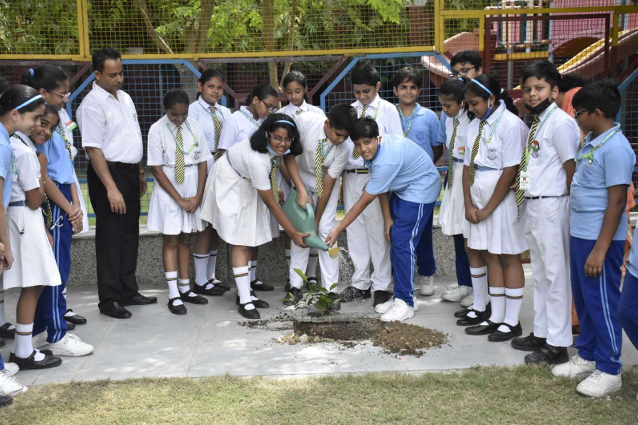 Tree Plantation Drive