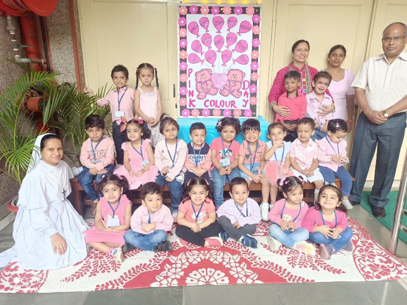Pink Colour Day