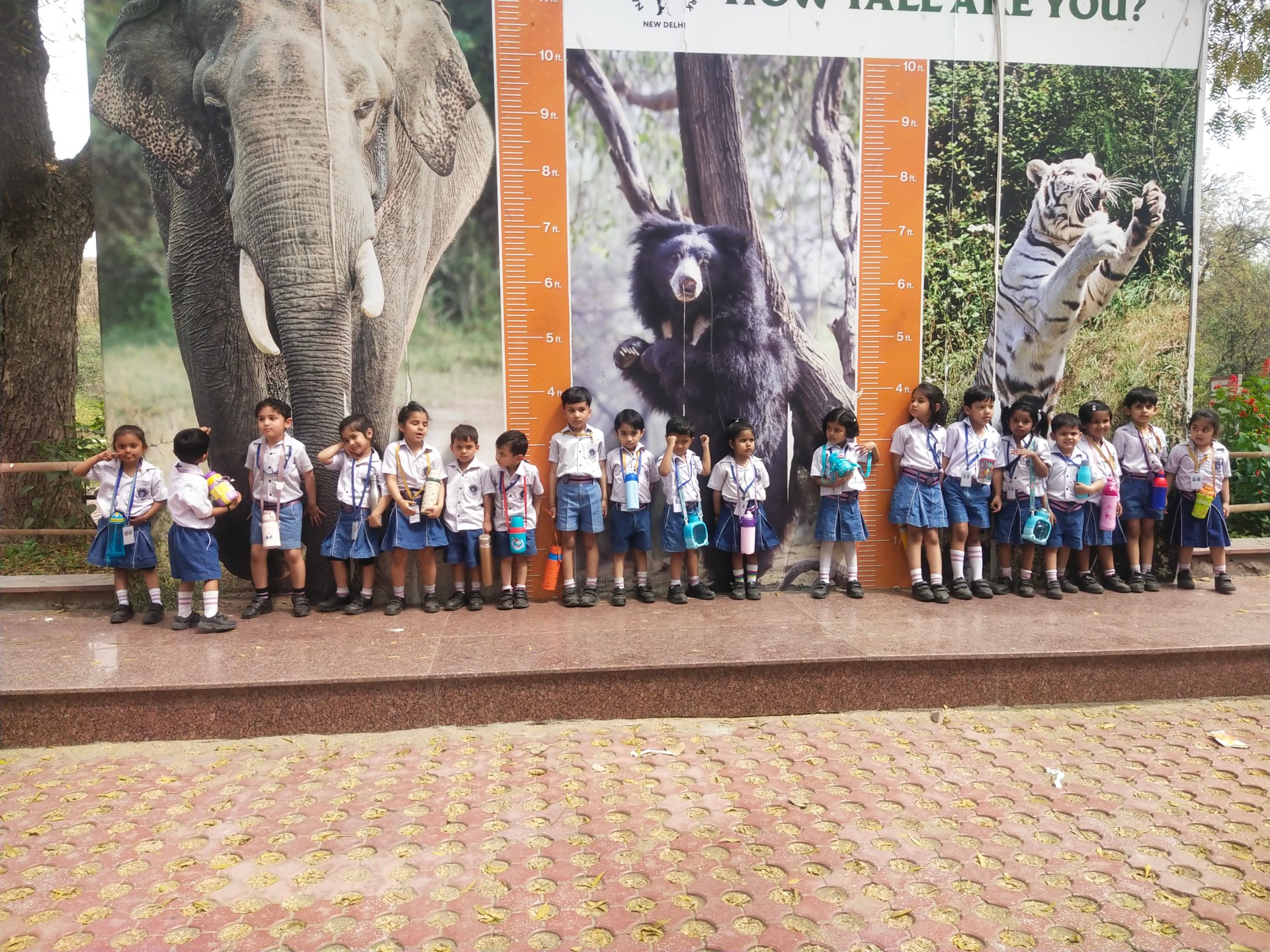 Top Girls School in Namkum