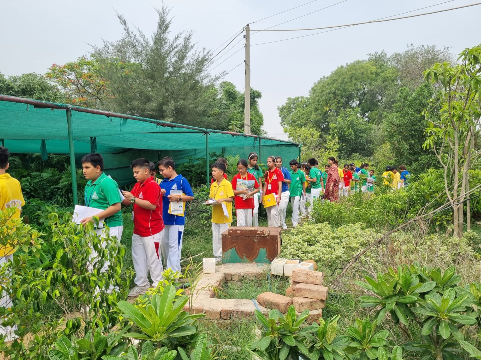 Top Girls School in Namkum
