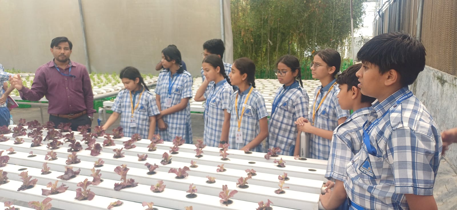 Visit to Hydroponic Farm - VIII (Kaushal Bodh Activity)