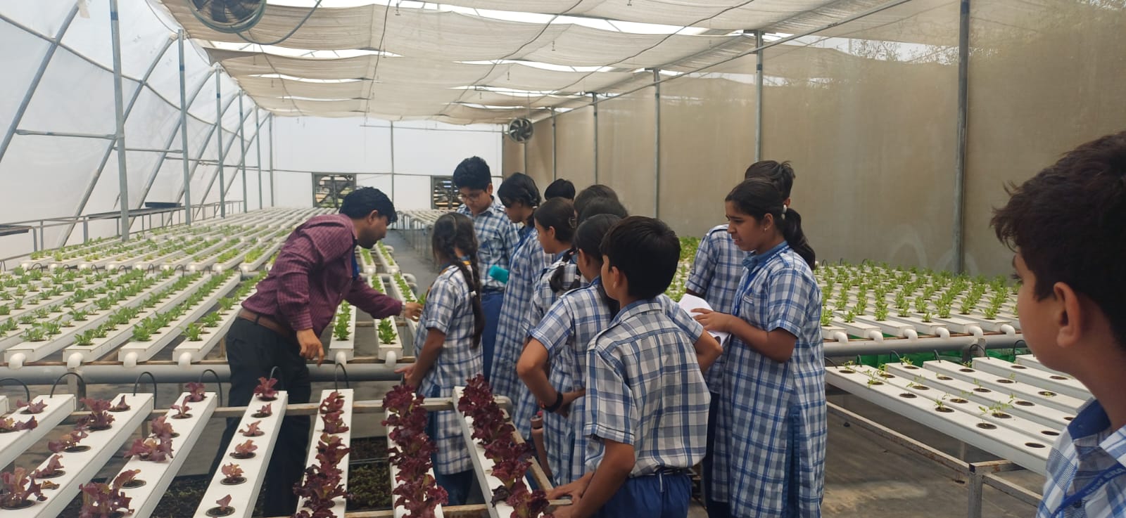 Top Girls School in Namkum
