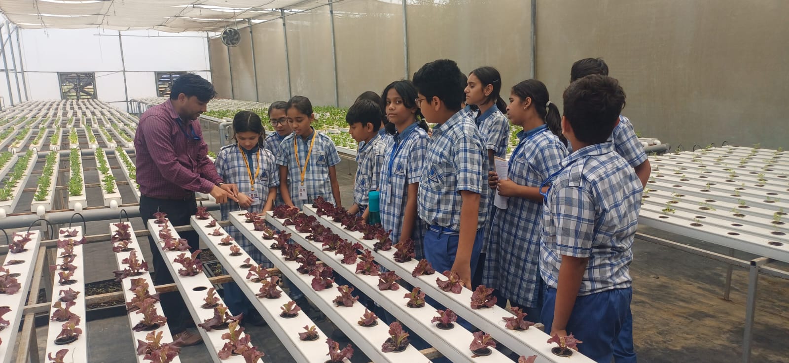 Top Girls School in Namkum