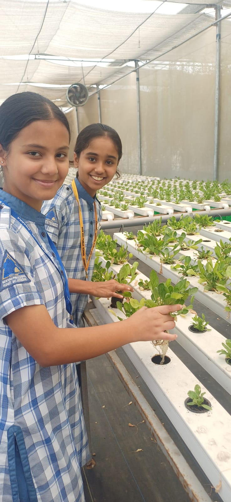 Top Girls School in Namkum