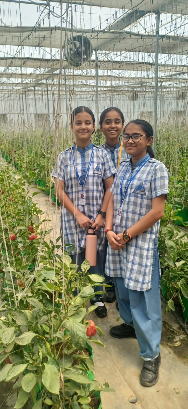 Top Girls School in Namkum