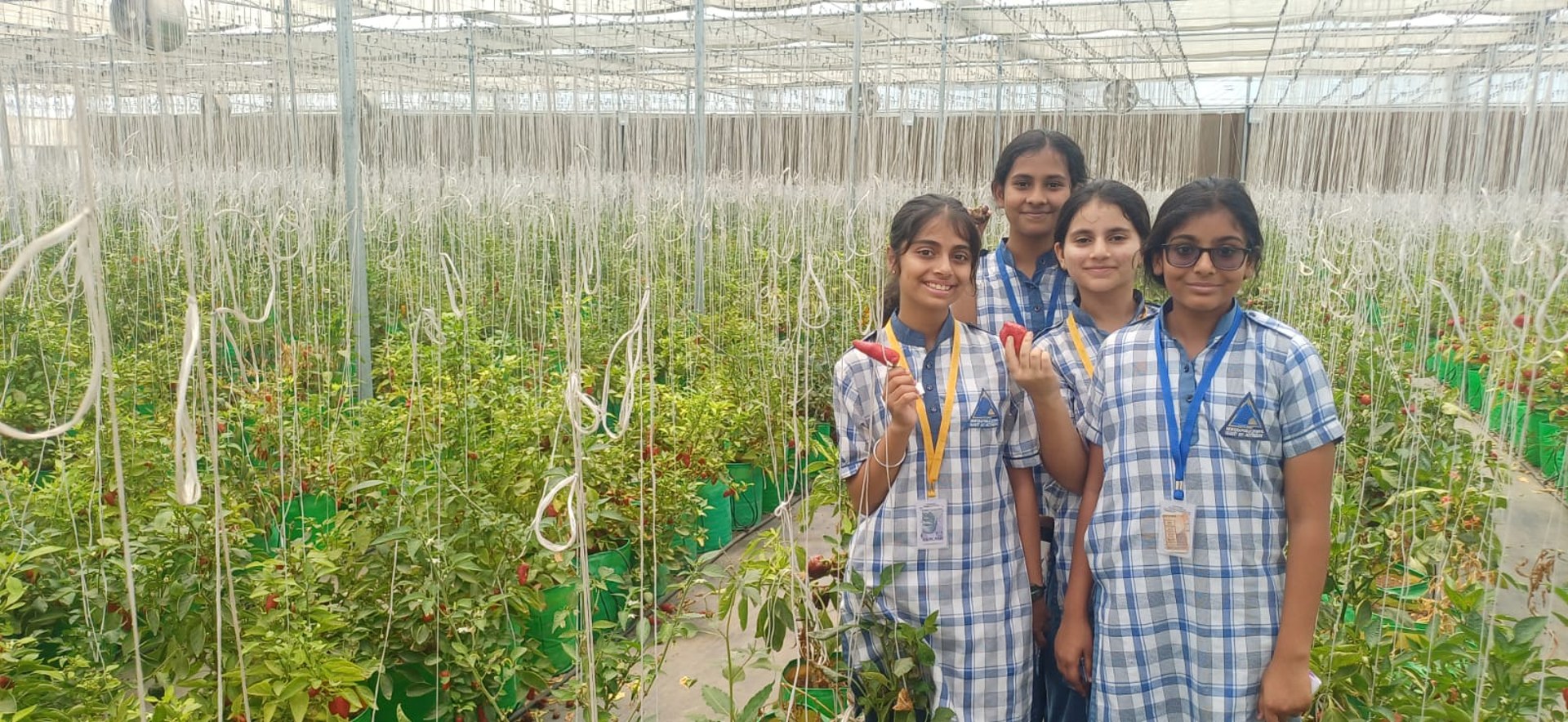 Top Girls School in Namkum