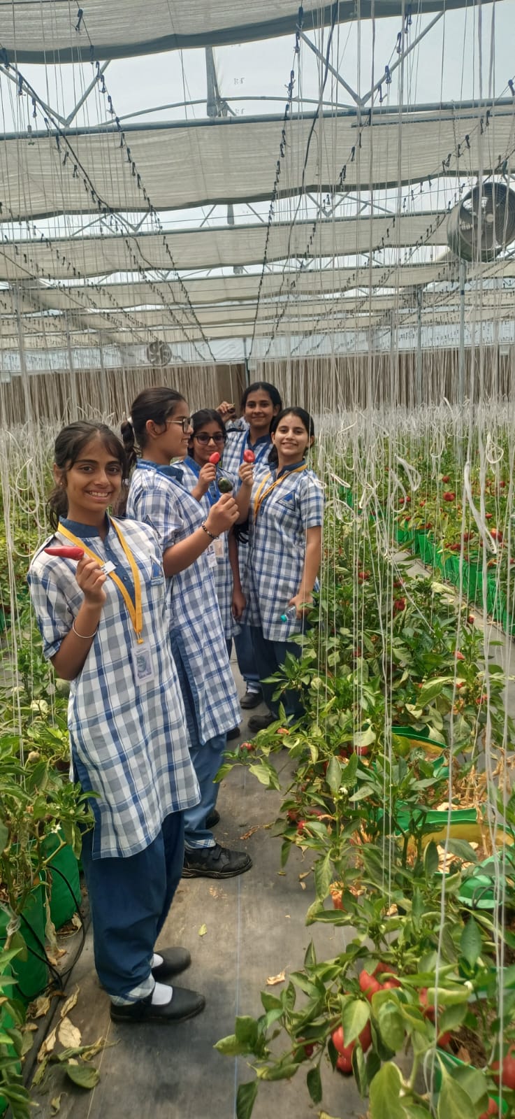 Top Girls School in Namkum