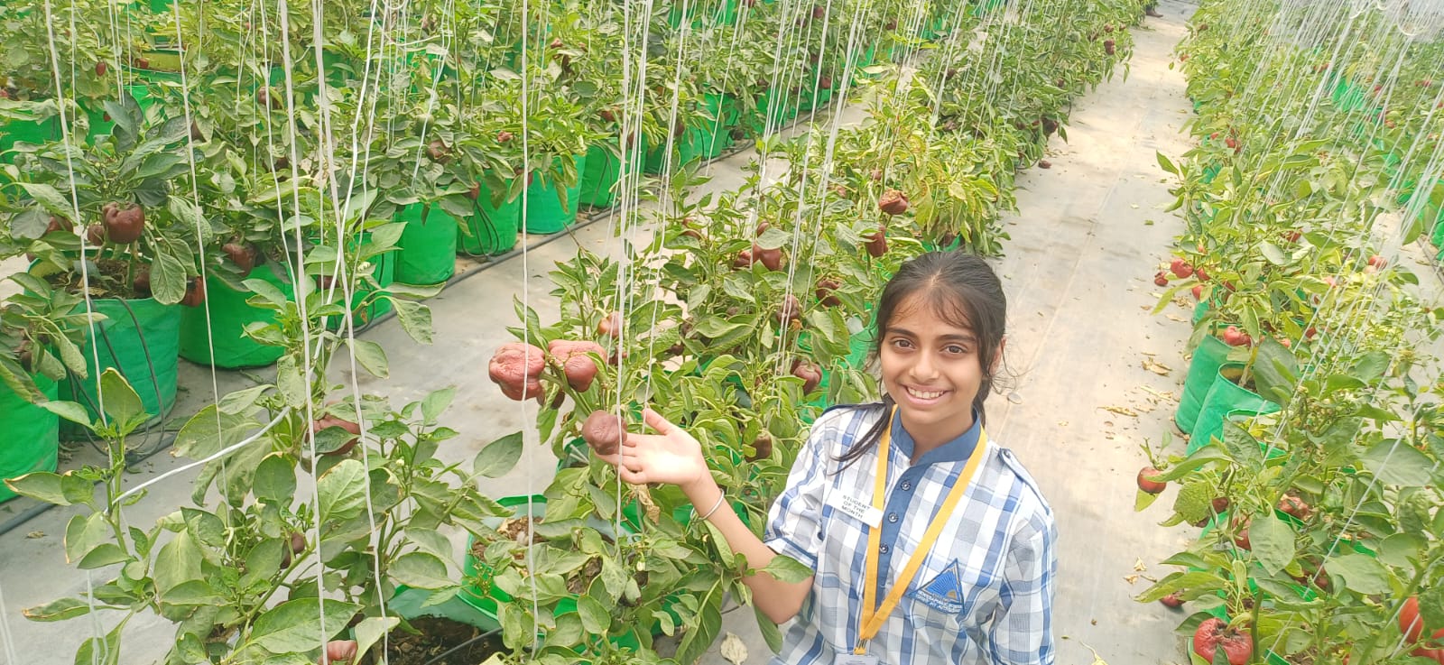 Top Girls School in Namkum