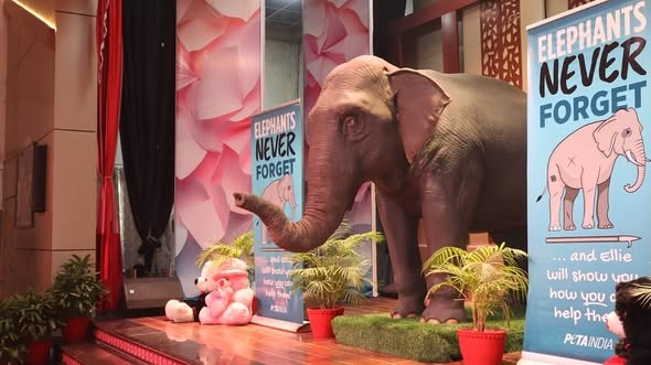 Best School In Sarnath