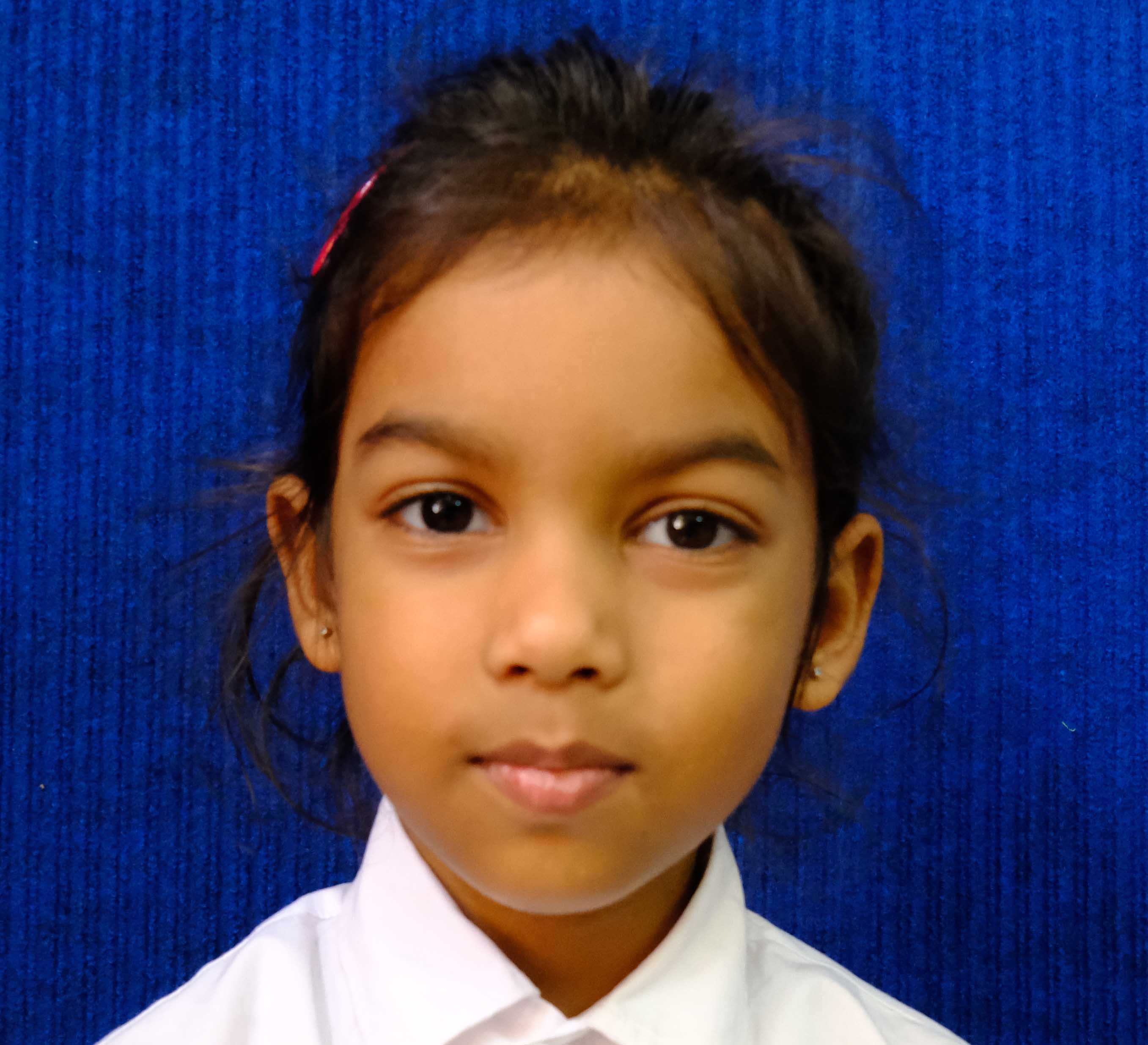 ST. FRANCIS SCHOOL