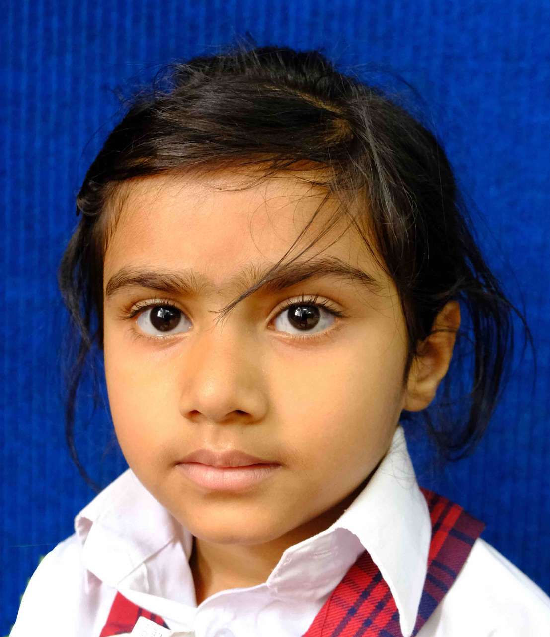 ST. FRANCIS SCHOOL