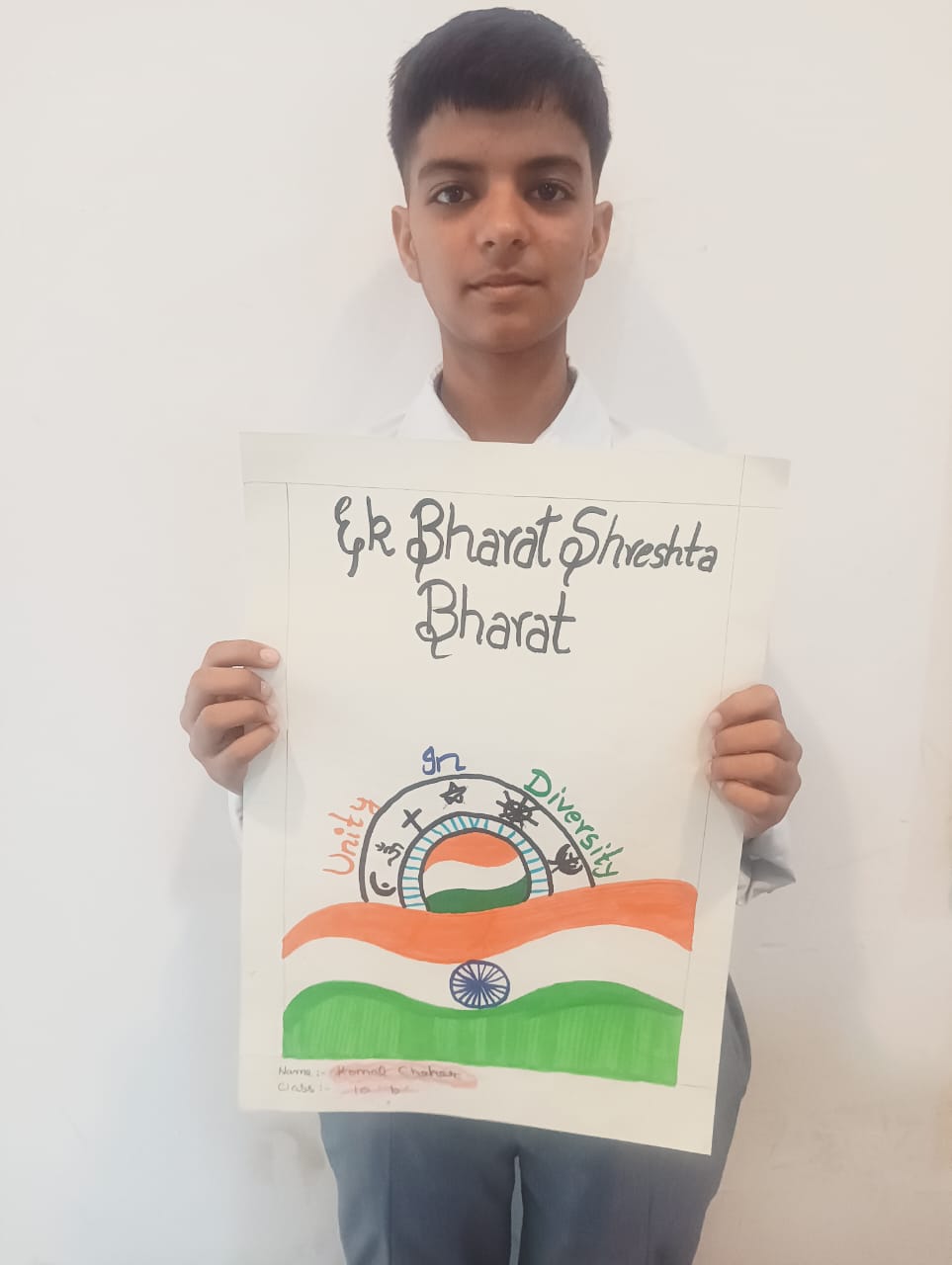 sehwag international School