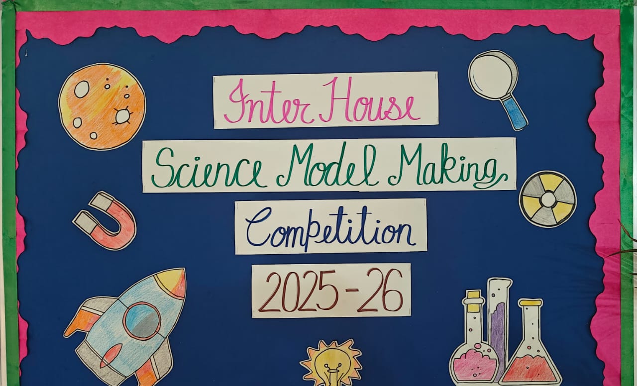 sehwag international School