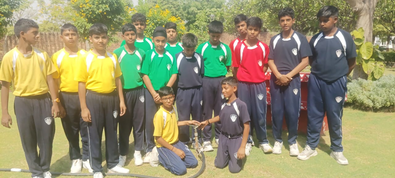 sehwag international School