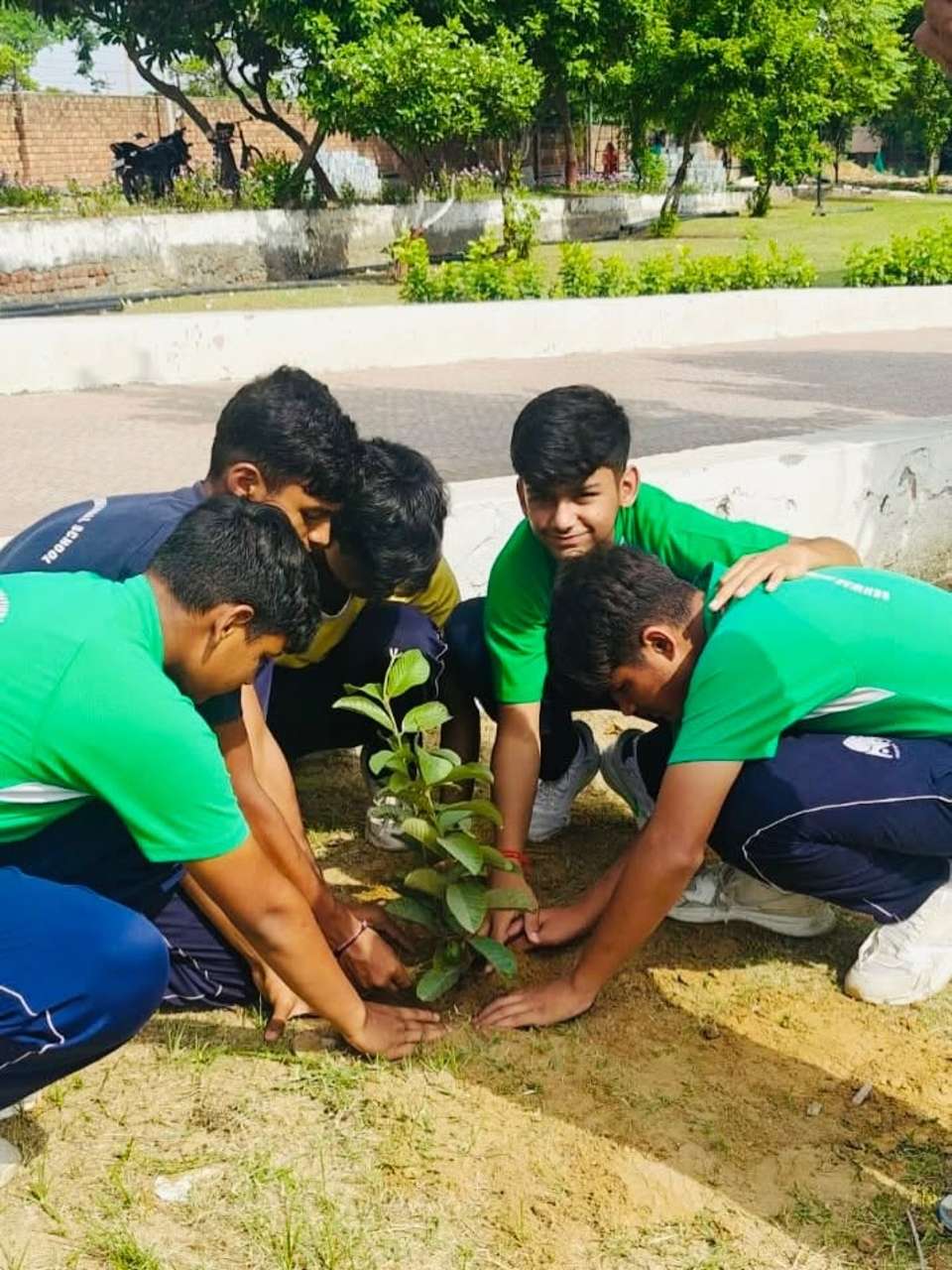sehwag international School