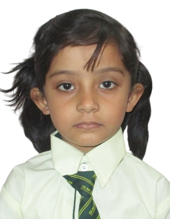 SKD Academy