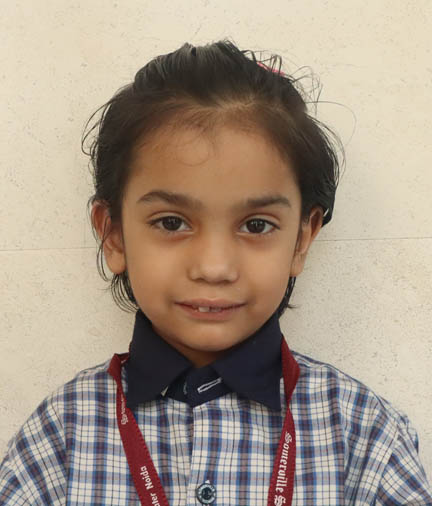 Somerville School - Best School In Greater Noida