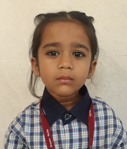 Somerville School - Best School In Greater Noida
