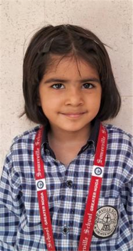 Somerville School - Best School In Greater Noida