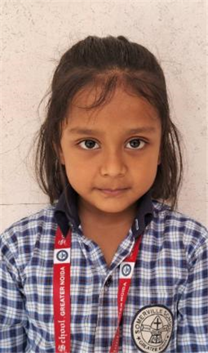 Somerville School - Best School In Greater Noida