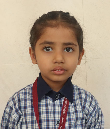 Somerville School - Best School In Greater Noida