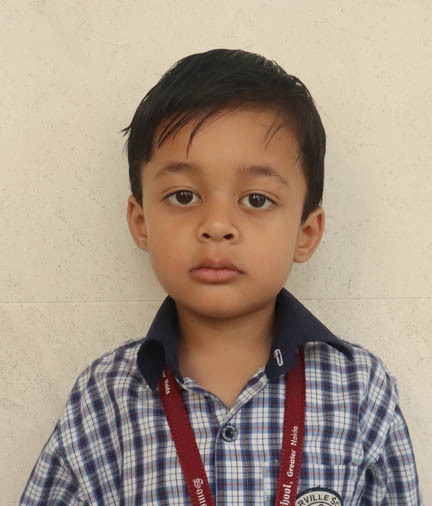 Somerville School - Best School In Greater Noida