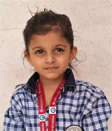 Somerville School - Best School In Greater Noida