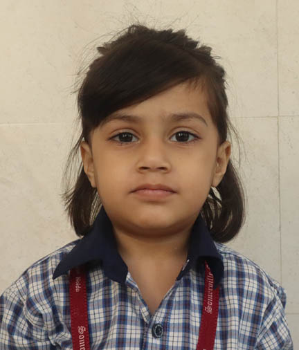 Somerville School - Best School In Greater Noida