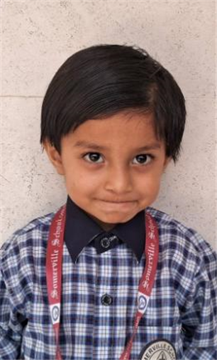 Somerville School - Best School In Greater Noida