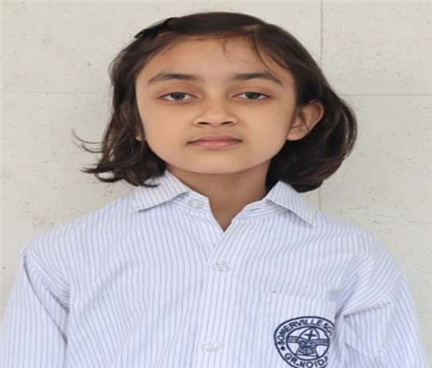 Somerville School - Best School In Greater Noida