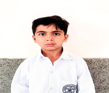 Somerville School - Best School In Greater Noida