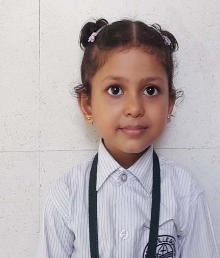 Somerville School - Best School In Greater Noida