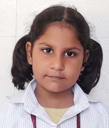 Somerville School - Best School In Greater Noida