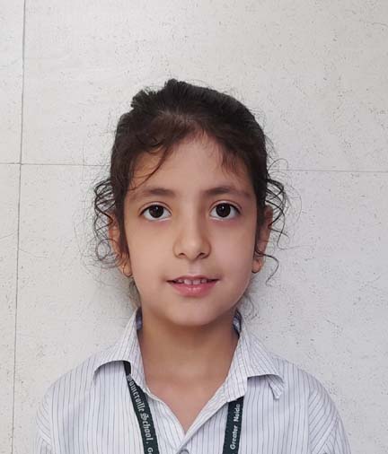 Somerville School - Best School In Greater Noida