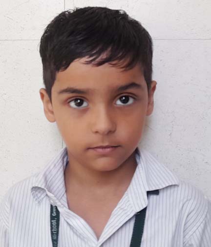 Somerville School - Best School In Greater Noida