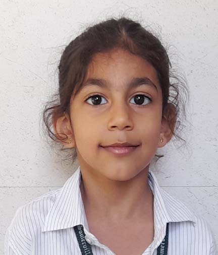 Somerville School - Best School In Greater Noida