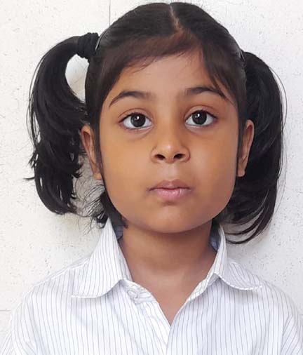 Somerville School - Best School In Greater Noida