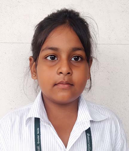 Somerville School - Best School In Greater Noida