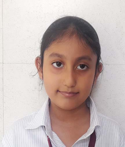 Somerville School - Best School In Greater Noida