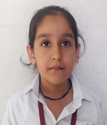 Somerville School - Best School In Greater Noida