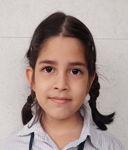 Somerville School - Best School In Greater Noida