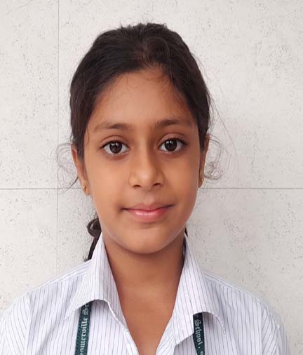Somerville School - Best School In Greater Noida