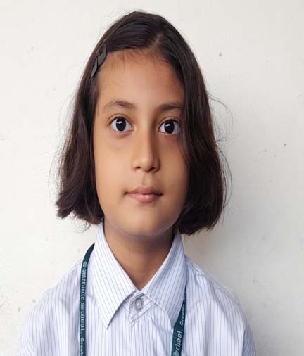 Somerville School - Best School In Greater Noida