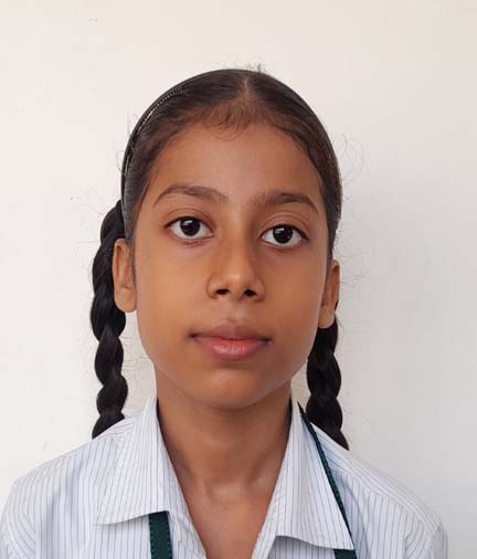 Somerville School - Best School In Greater Noida