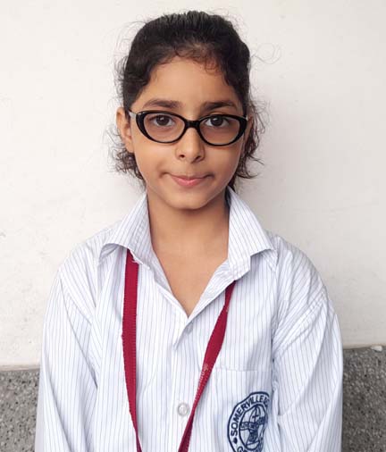 Somerville School - Best School In Greater Noida